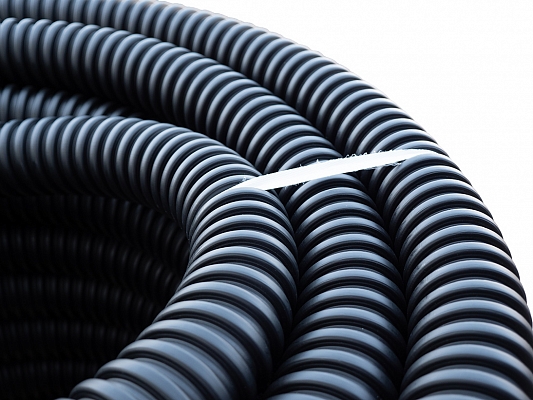 110610-00029(1).jpg 110610-00029(1).jpg