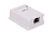 WRline WR-WS-8P8C-C5E-SH-1 Розетка компьютерная RJ-45, категория 5e, экранированная, одинарная, внешняя, Dual IDC, цвет белый