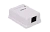 WRline WR-WS-8P8C-C5E-1 Розетка компьютерная RJ-45, категория 5e, неэкранированная, одинарная, внешняя, Dual IDC, цвет белый